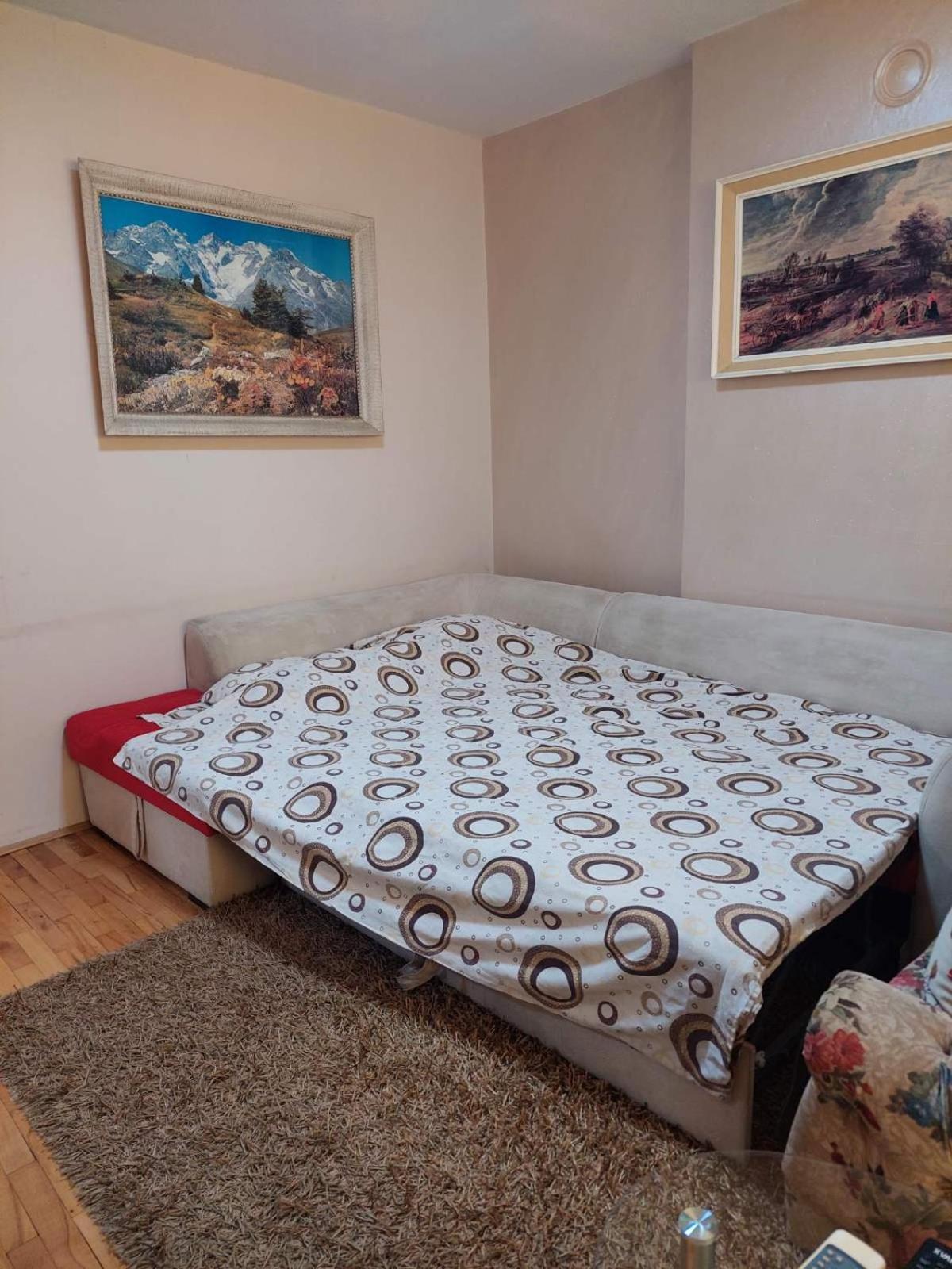 Apartment Vuk Podgorica Extérieur photo